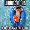 wpsheje0