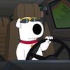 stewieadoptedchild