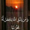 om.ahmed6819