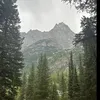 swiftwngz_17