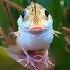 unknown_koi
