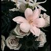 soumya_mrd