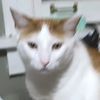 ilovegoob7777