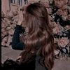 nourfawzy41