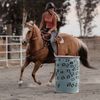pali.performancehorses