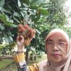 andi.kurnia284