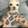 kennyzworknn