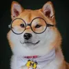 zecegg0