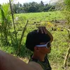 anthony.caolas.la