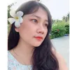 Linh Hà