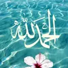user7256176619830