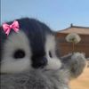 2bubblesgums_