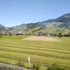 samo4191.44