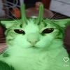 zeze_897