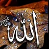 al_dulimy111