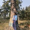 divyashah7