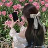 sandraa4137