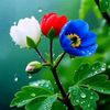 md.apon0655