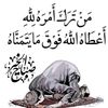 o_al_fa