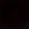 ramzy_sfi