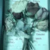 user28510080070151