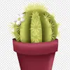 cactus.t