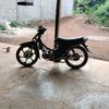 belac_v2