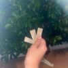 _sashka_55