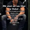 niko.8433