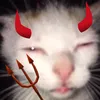 h1storyneek
