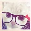 hmmyatoogmail.com