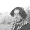 intazir.hussain7