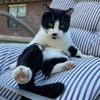 mynameiskitler