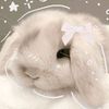 sanemi.wife_lily