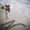 nour.elhoda732