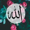 user17088268073952