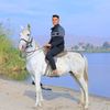 mahmoudomarsalama