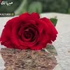 hawzhinibrahim6