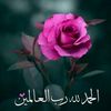 yasmeen.naeem7