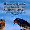k.murki4206