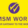 SMSM World