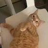 missmariah.ia