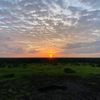 aminah_3671