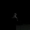 _synthetic.scene2313