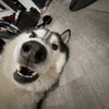 jackson_lw0225