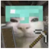 luiz_miguel455