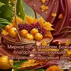 tnnickcmy3q