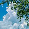 ytta_1_14