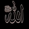 user8237581195409
