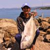 mohamad.arif472